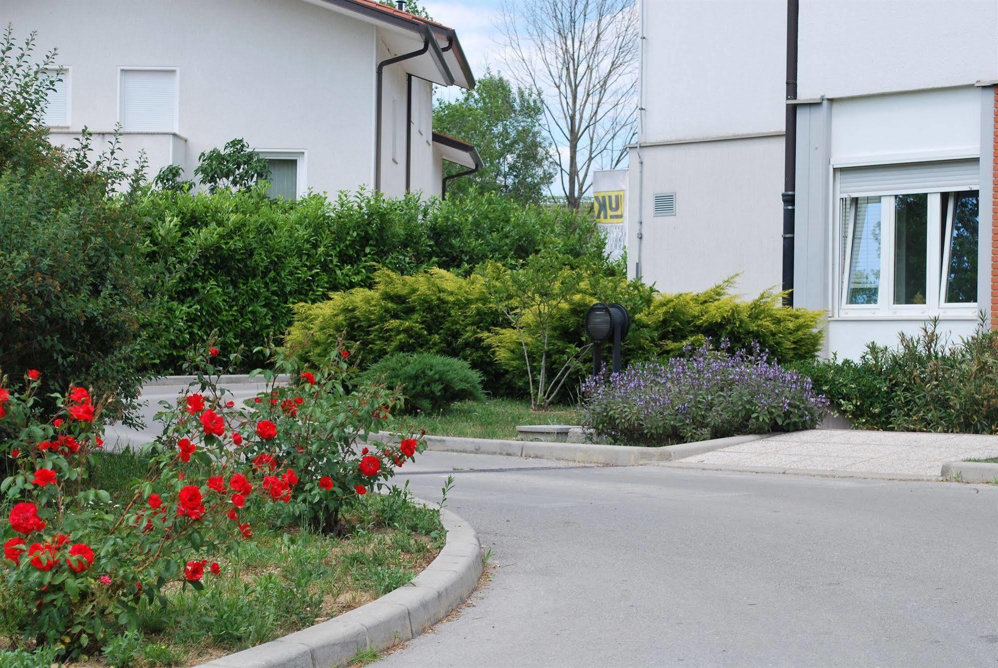 Bed And Breakfast Kogoj Nova Gorica Eksteriør bilde